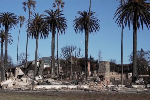π₯ LA Wildfires: Why Were Some Homes Saved and Others Not? LA wildfires: Outrage as private firefighters protect affluent areas video poster