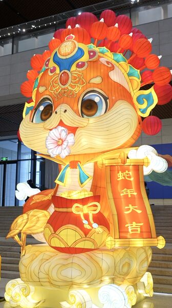 Learn more about the customs of Spring Festival all across China video poster