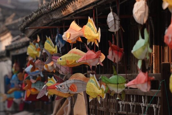 Legacy_Trails_Illuminating_Spring_Festival_with_fish_lanterns - My Global News: Young Voices Legacy Trails: Illuminating Spring Festival with fish lanterns