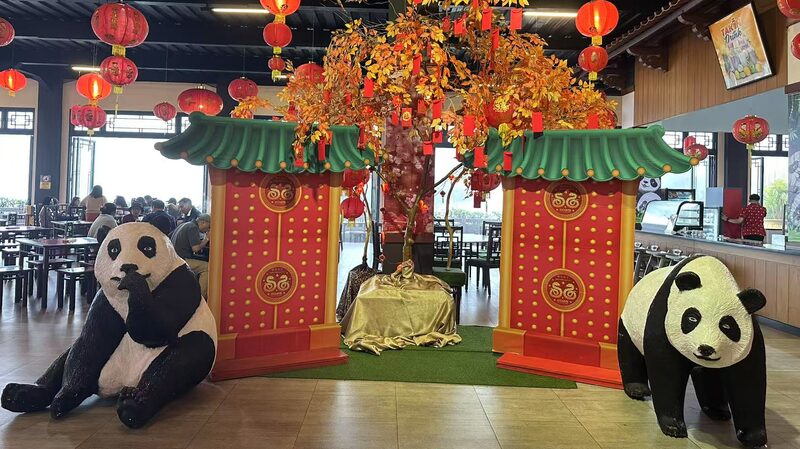 Live: Celebrating Chinese New Year at Indonesia's safari park video poster