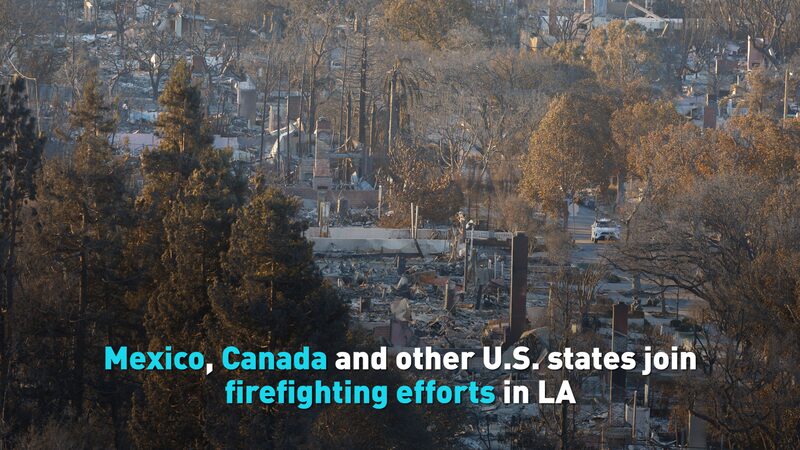 Mexico, Canada and other U.S. states join firefighting efforts in LA video poster