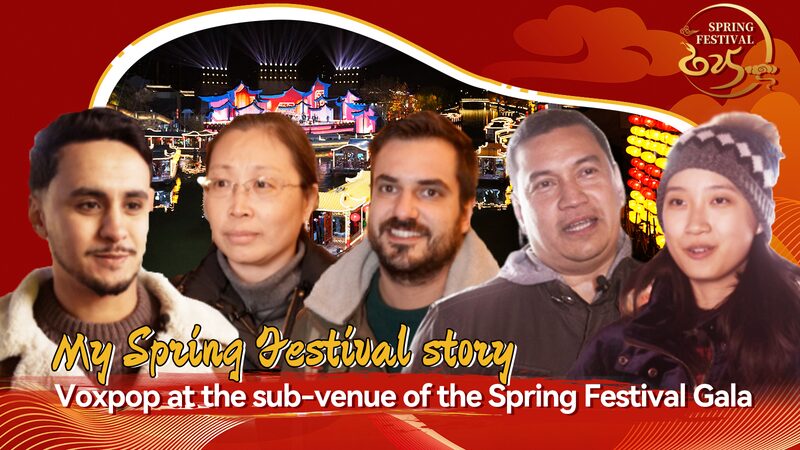 My_Spring_Festival_Story_Chinese_New_Year_wishes_from_the_world_poster - My Global News: Young Voices My Spring Festival Story: Chinese New Year wishes from the world video poster