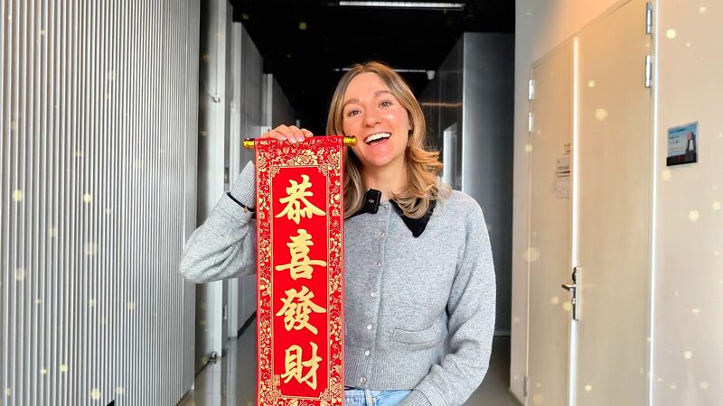 New Year Wish: Snake of Fortune video poster