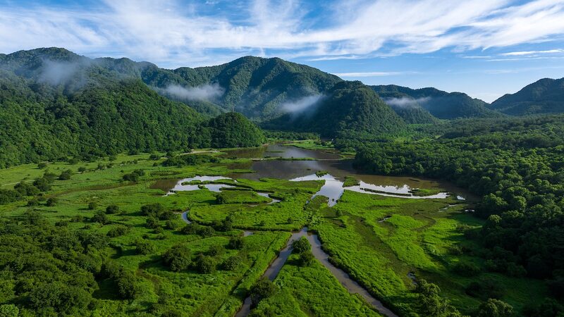 Our_wetlands_Where_tiny_moss_supports_a_20000-year-old_wetland_poster - My Global News: Young Voices Our wetlands: Where tiny moss supports a 20,000-year-old wetland video poster