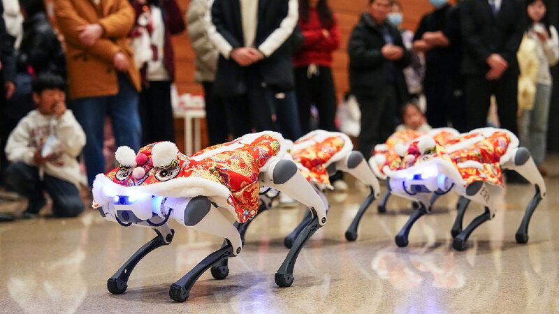 Robot dogs join Spring Festival fun as mini 'lion dancers'