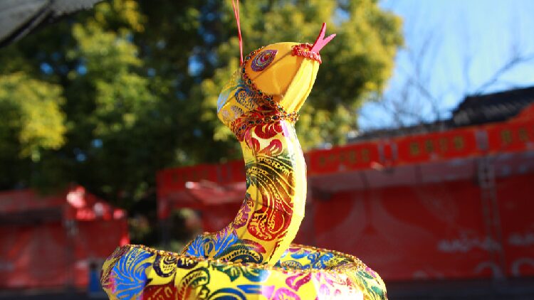 Snake lanterns add Spring Festival cheer to Nanjing