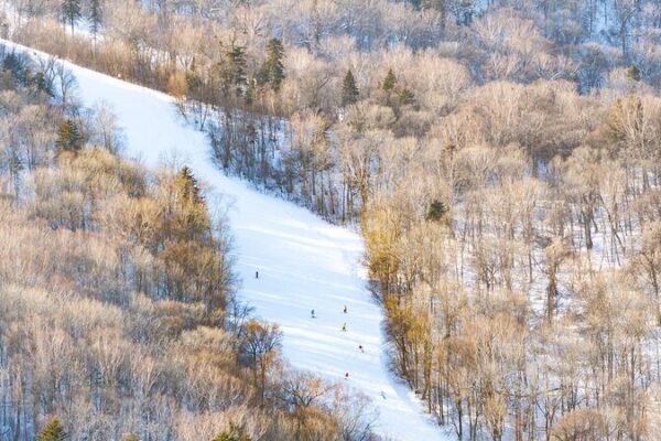 Snowboard test event held in Yabuli ahead of 2025 Asian Winter Games video poster