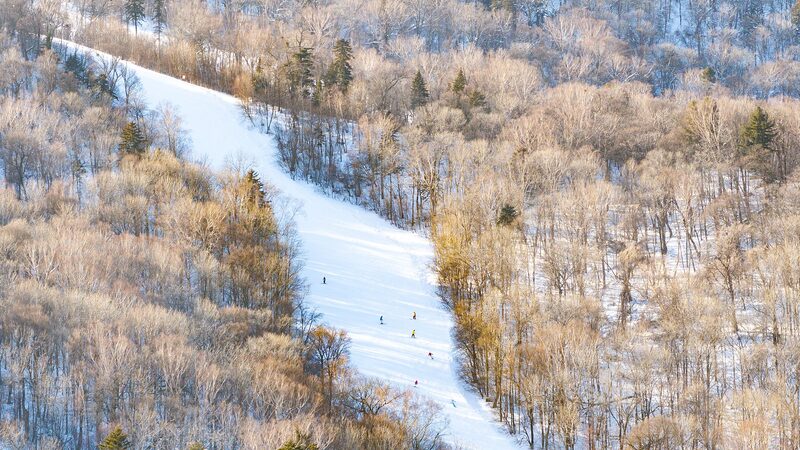 Snowboard test event held in Yabuli ahead of 2025 Asian Winter Games video poster