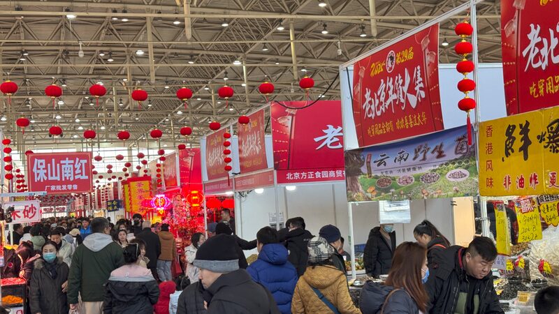 Spring Festival: A UNESCO heritage tradition video poster