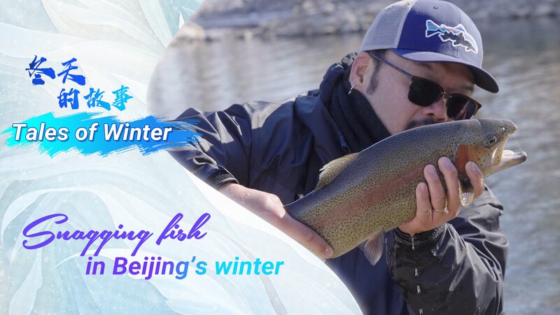 Tales of Winter: Snagging fish in Beijing's winter video poster