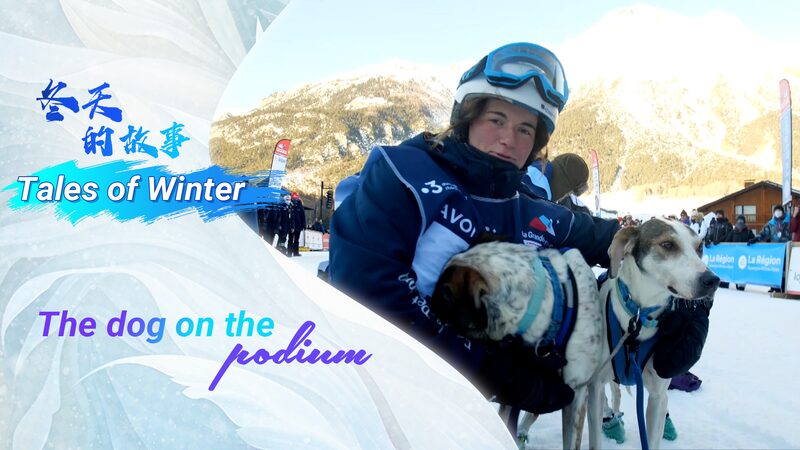 Tales of winter: The dog on the podium video poster
