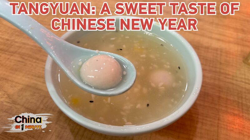 Tangyuan: A sweet taste of Chinese New Year video poster