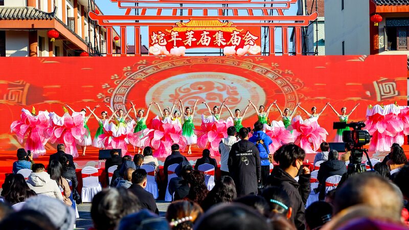 Wuhan's Maomiaoji Temple Fair brims with festive spirit