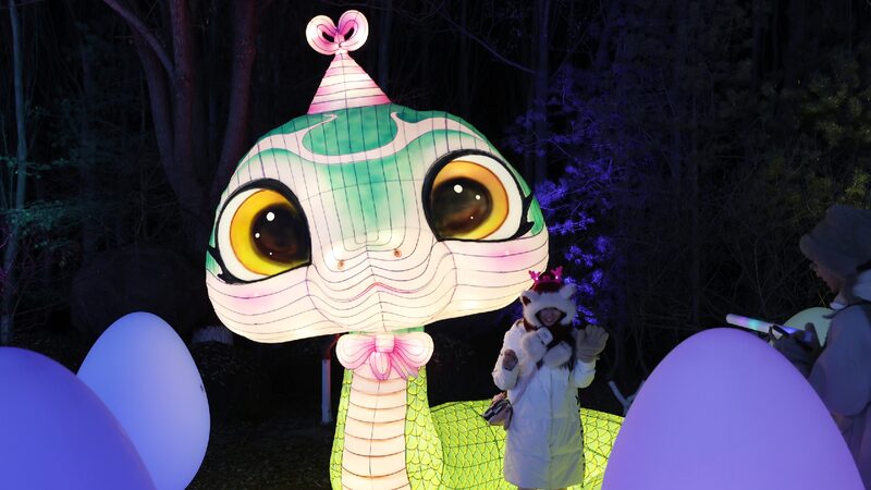 Yinchuan_lantern_festival_brightens_Year_of_the_Snake - My Global News: Young Voices Yinchuan lantern festival brightens Year of the Snake
