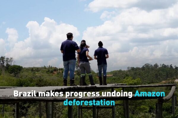 Brazil’s Big Step: Saving the Amazon Rainforest π³ Brazil makes progress undoing deforestation to Amazon video poster