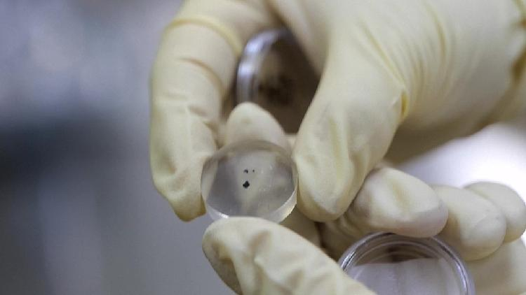 Change-6_samples_provide_evidence_of_magma_ocean_on_early_moon - My Global News: Young Voices Chang'e-6 samples provide evidence of "magma ocean" on early moon