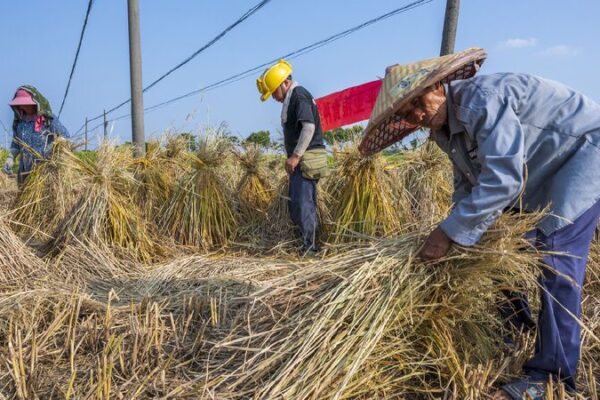 China’s Ongoing Quest: Keeping Poverty Away for a Brighter Future China continues fight against poverty as it safeguards progress