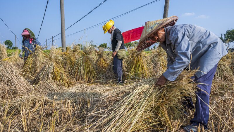 China continues fight against poverty as it safeguards progress