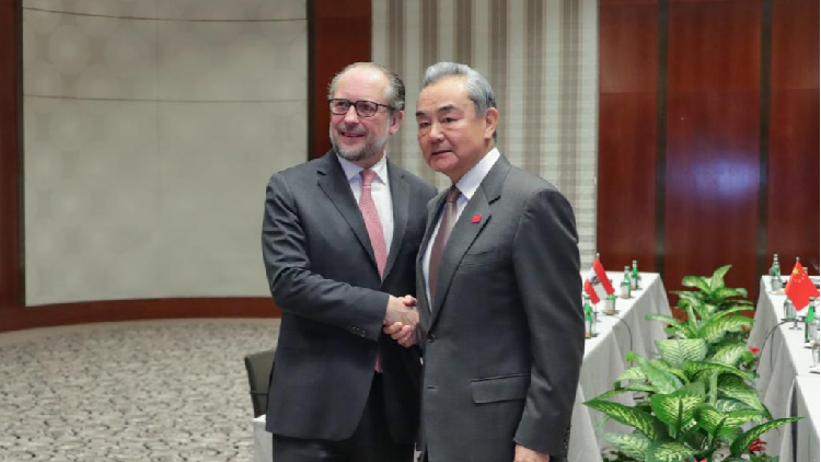 China_to_work_with_Austria_to_uphold_multilateralism_FM_Wang_Yi - My Global News: Young Voices China to work with Austria to uphold multilateralism: FM Wang Yi