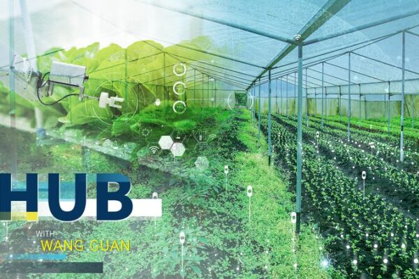 China’s New Farming Heroes: Growing a Greener Future! 🌱 China's new agricultural code and the breed of new farmers video poster