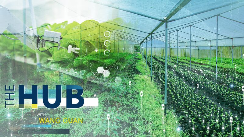 China's new agricultural code and the breed of new farmers video poster