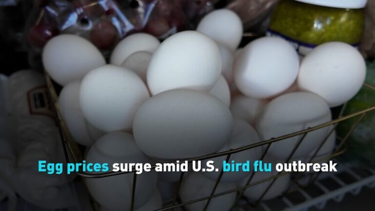 Egg prices surge amid U.S. bird flu outbreak video poster