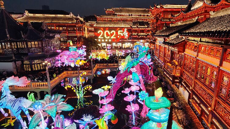 Festive frenzy: Spring Festival ignites China's economy