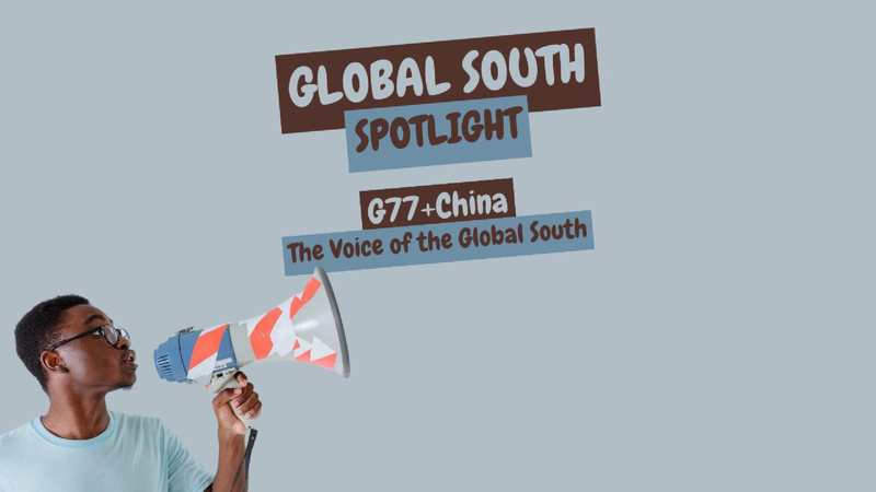 G77+China - The voice of the Global South video poster