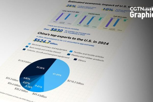 Tariffs: Why Countries Charge Extra on Imports and What It Means for You! ππ° Graphics: Estimated economic impact of U.S. tariffs