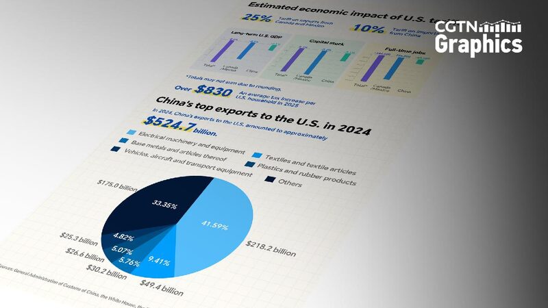 Graphics_Estimated_economic_impact_of_US_tariffs - My Global News: Young Voices Graphics: Estimated economic impact of U.S. tariffs