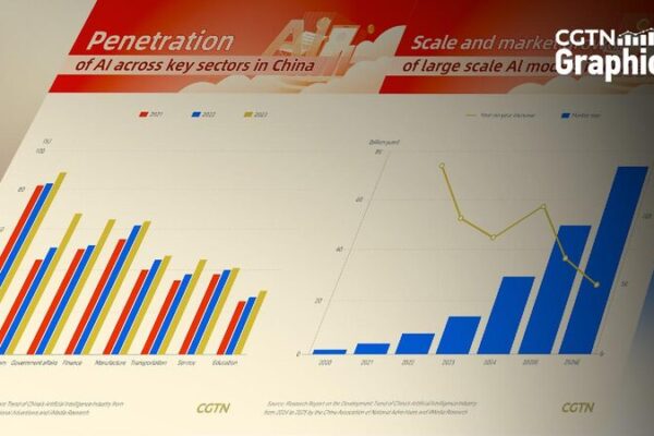 Graphics: How is China's private sector boosting AI growth?