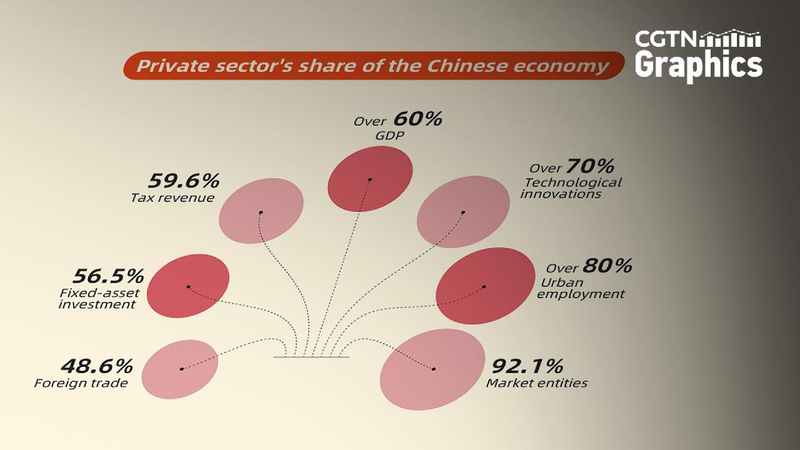 Graphics_Private_sectors_share_of_the_Chinese_economy - My Global News: Young Voices Graphics: Private sector's share of the Chinese economy