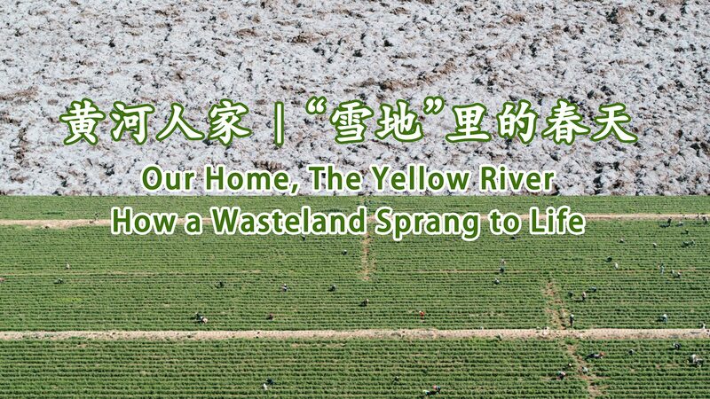 How_a_wasteland_sprang_to_life_poster - My Global News: Young Voices How a wasteland sprang to life video poster