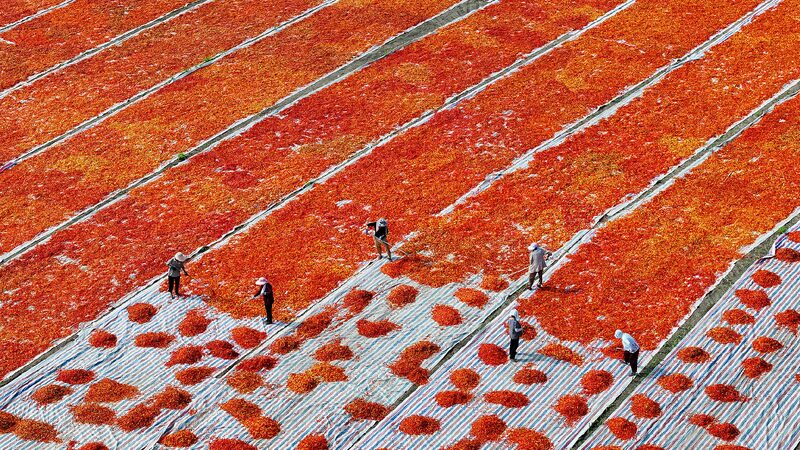 Institutional reform stands out in China's 'No. 1 central document'