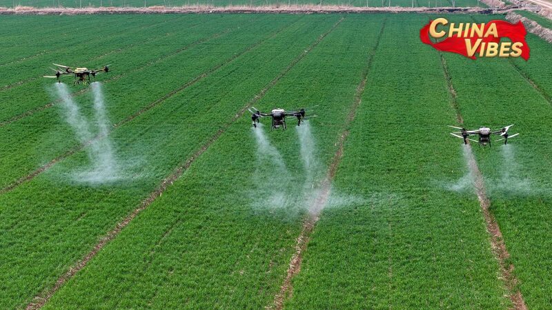 Key document highlights China's efforts to further deepen rural reform