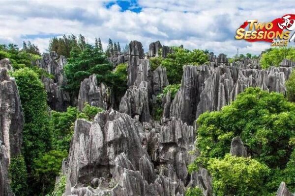 Explore the Magical Shenjian Stone Forest in South China! Live: Discover Shenjian Stone Forest, S China's Guangxi