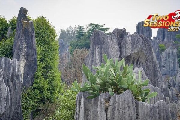 Explore the Magical Shenjian Stone Forest in Guangxi, China! 🌳✨ Live: Discover Shenjian Stone Forest, south China's Guangxi