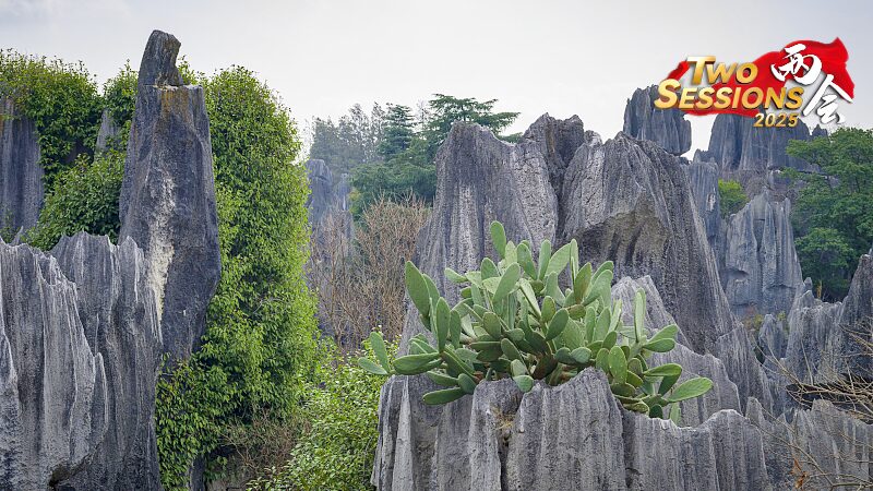Live: Discover Shenjian Stone Forest, south China's Guangxi – Ep. 2 video poster