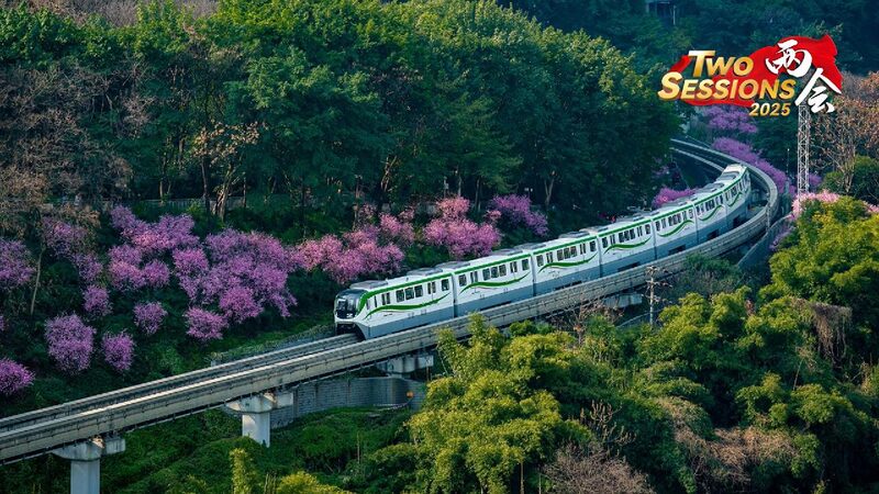 Live_Plum_blossoms_and_the_train_to_spring_in_Chongqing - My Global News: Young Voices Live: Plum blossoms and the 'train to spring' in Chongqing
