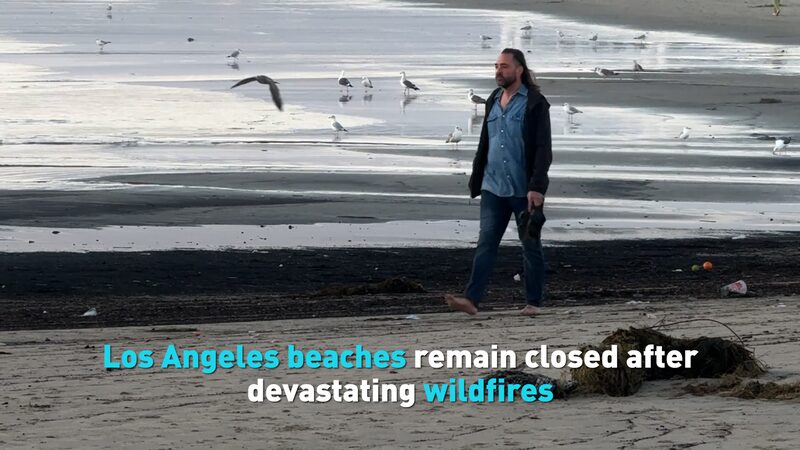 Los_Angeles_beaches_remain_closed_after_devastating_wildfires_poster - My Global News: Young Voices Los Angeles beaches remain closed after devastating wildfires video poster