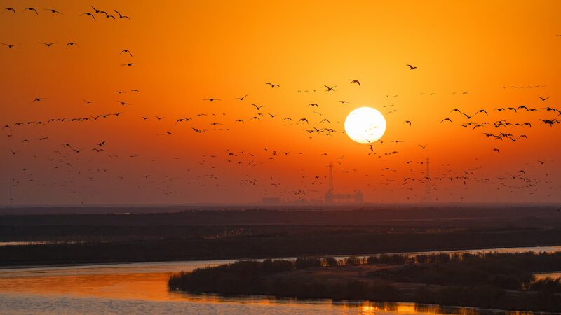 Birds Take Flight Over Melting Ice on China’s Yellow River π¦βοΈ Migratory birds glide over melting ice in Yellow River video poster