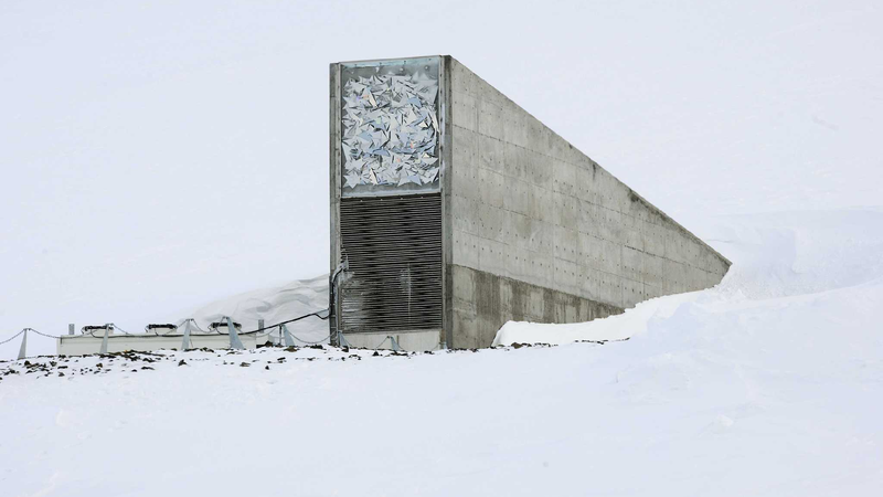 New_seeds_deposited_in_Norways_Svalbard_Global_Seed_Vault - My Global News: Young Voices New seeds deposited in Norway's Svalbard Global Seed Vault