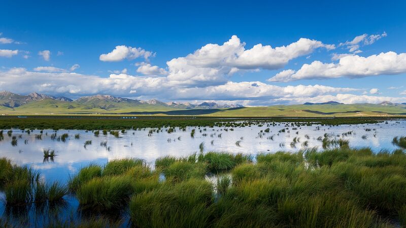 Our wetlands: Where the arduous Long March was witnessed video poster