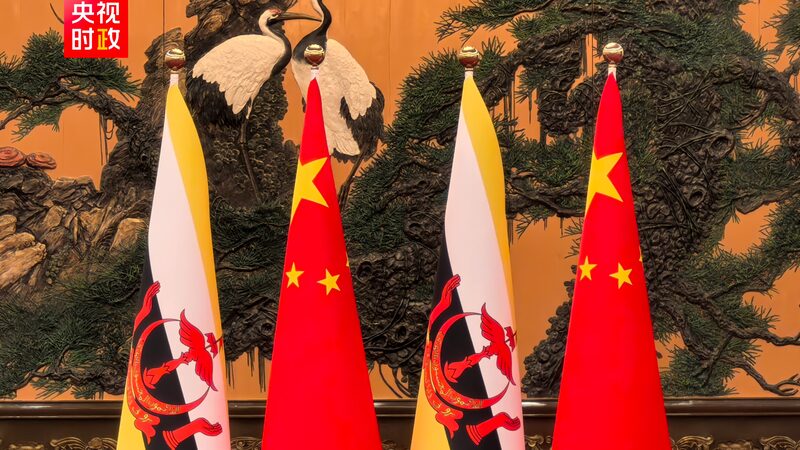 President Xi holds talks with Brunei's Sultan