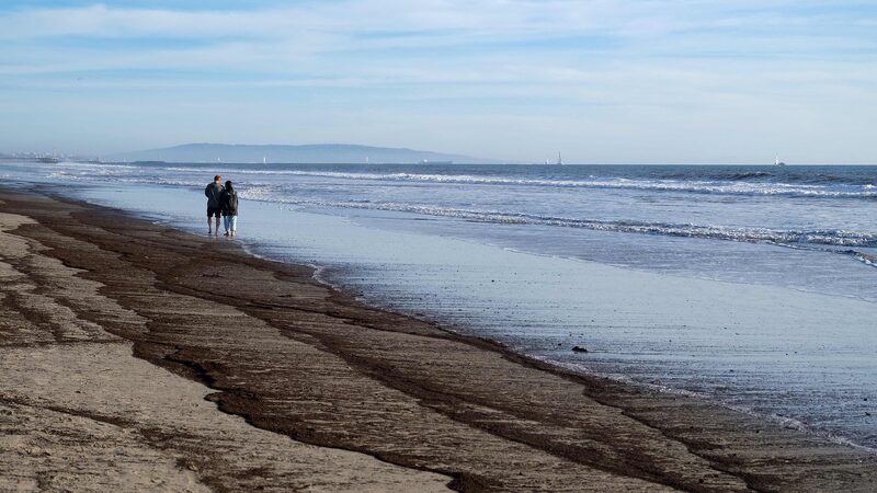 Scientists_race_to_detect_ocean_damage_sparked_by_LA_wildfires - My Global News: Young Voices Scientists race to detect ocean damage sparked by LA wildfires