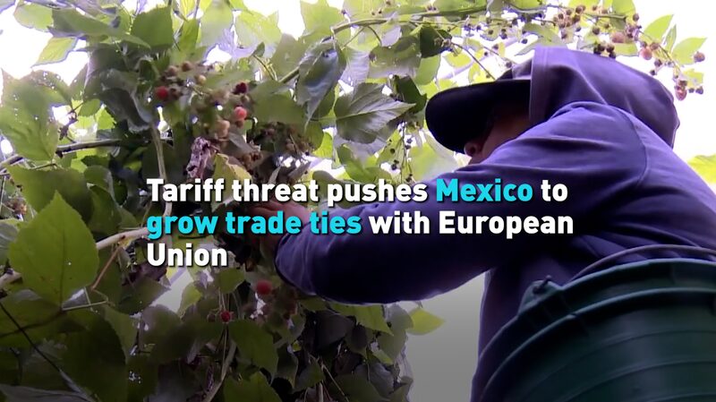 Tariff_threat_pushes_Mexico_to_grow_trade_ties_with_European_Union_poster - My Global News: Young Voices Tariff threat pushes Mexico to grow trade ties with European Union video poster