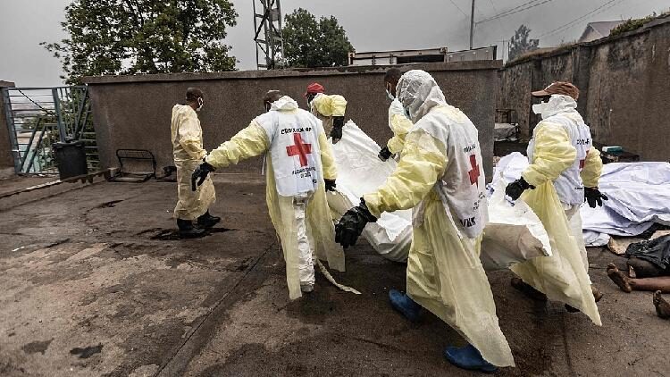 WHO warns of disease risks amid DRC fighting