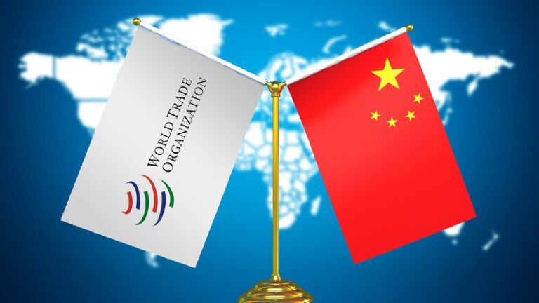 Wang Yi says China to continue supporting WTO reform