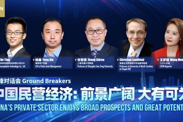China’s President Cheers on Private Businesses! Watch: China's private sector enjoys broad prospects, great potential video poster