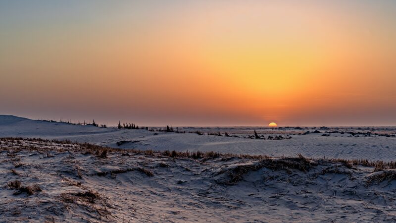 16-day_expedition_on_Taklimakan_Desert_edge-locking_project_ends - My Global News: Young Voices 16-day expedition on Taklimakan Desert 'edge-locking' project ends